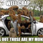 Monkeys on car | WELL CRAP....... TURNS OUT THOSE ARE MY MONKEYS... | image tagged in monkeys on car | made w/ Imgflip meme maker