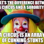 Clown | WHAT'S THE DIFFERENCE BETWEEN A CIRCUS AND A SORORITY? A CIRCUS IS AN ARRAY OF CUNNING STUNTS | image tagged in clown | made w/ Imgflip meme maker