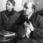 Lenin cat ears oidos gato