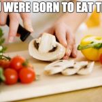 food | YOU WERE BORN TO EAT THIS | image tagged in food | made w/ Imgflip meme maker