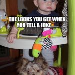 BFFs | THE LOOKS YOU GET WHEN YOU TELL A JOKE....... AND PEOPLE TAKE IT SERIOUSLY | image tagged in bffs | made w/ Imgflip meme maker