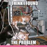 Kittens fixing a computer | I THINK I FOUND; THE PROBLEM | image tagged in kittens fixing a computer | made w/ Imgflip meme maker