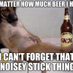 Funny Dog | NO MATTER HOW MUCH BEER I HAVE; I CAN'T FORGET THAT NOISEY STICK THING | image tagged in funny dog,memes | made w/ Imgflip meme maker