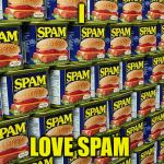 spam | I; LOVE SPAM | image tagged in spam | made w/ Imgflip meme maker