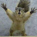 SQUIRRELL