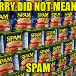 spam | SORRY DID NOT MEAN TO; SPAM | image tagged in spam | made w/ Imgflip meme maker