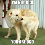 Explains a lot about some people I know...Study in Nature says dogs & humans might share same OCD genes... | I'M NOT OCD; YOU ARE OCD | image tagged in dog tail-chasing,dog,tails,chasing,ocd | made w/ Imgflip meme maker