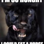 Hungry Panther | I'M SO HUNGRY; I COULD EAT A HORSE | image tagged in hungry panther | made w/ Imgflip meme maker