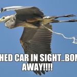 BirdPoop | WASHED CAR IN SIGHT..BOMBS AWAY!!!! | image tagged in birdpoop | made w/ Imgflip meme maker
