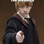 Ron Weasley Know It | DON'T LET THE MUGGLES; GET YOU DOWN! | image tagged in ron weasley know it | made w/ Imgflip meme maker