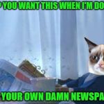 Grumpy newspaper cat | OH? YOU WANT THIS WHEN I'M DONE? GET YOUR OWN DAMN NEWSPAPER | image tagged in grumpy newspaper cat | made w/ Imgflip meme maker