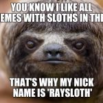 Sloth | YOU KNOW I LIKE ALL MEMES WITH SLOTHS IN THEM; THAT'S WHY MY NICK NAME IS 'RAYSLOTH' | image tagged in sloth | made w/ Imgflip meme maker