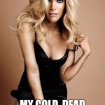 Megyn Kelly  | HEY; MY COLD, DEAD EYES ARE UP HERE | image tagged in megyn kelly | made w/ Imgflip meme maker