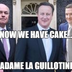 Guillotine? | NOW WE HAVE CAKE... MADAME LA GUILLOTINE? | image tagged in cameron ids osborne | made w/ Imgflip meme maker