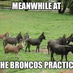 Denver Bronco Practice  | MEANWHILE AT; THE BRONCOS PRACTICE | image tagged in jackasses,denver broncos,super bowl | made w/ Imgflip meme maker