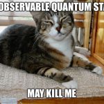 If I'm in a box DON'T OPEN IT! | MY OBSERVABLE QUANTUM STATE; MAY KILL ME | image tagged in schrodinger,memes | made w/ Imgflip meme maker