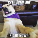 Funny dog meme | IS THE CAMERA; RIGHT NOW? | image tagged in funny dog meme | made w/ Imgflip meme maker