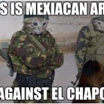 Soldier cats | THIS IS MEXIACAN ARMY; AGAINST EL CHAPO | image tagged in soldier cats | made w/ Imgflip meme maker