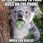 Oops | THAT MOMENT RIGHT AFTER TALKING TO YOUR BOSS ON THE PHONE. WHEN YOU REALIZE YOU ENDED THE CONVERSATION WITH, "LOVE YOU" | image tagged in shocked koala,boss | made w/ Imgflip meme maker