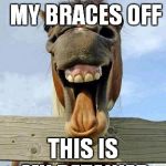 horsesmile | I JUST GOT MY BRACES OFF; THIS IS MY RETAINER | image tagged in horsesmile | made w/ Imgflip meme maker