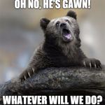 sarcastic bear | OH NO, HE'S GAWN! WHATEVER WILL WE DO? | image tagged in sarcastic bear | made w/ Imgflip meme maker