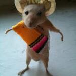 Mexican mouse meme