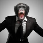monkey in suit screaming