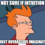 Intuition or Imagination | NOT SURE IF INTUITION; OR JUST OVERACTIVE IMAGINATION | image tagged in not sure if,intution,imagination | made w/ Imgflip meme maker
