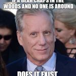 James Woods | IF A BEAR CRAPS IN THE WOODS AND NO ONE IS AROUND; DOES IT EXIST | image tagged in james woods | made w/ Imgflip meme maker