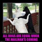 Nothing like a common enemy to help set aside your differences. | ALL DOGS ARE EQUAL WHEN THE MAILMAN'S COMING | image tagged in dog pals,mailman,memes,funny animals,funny dogs,dogs | made w/ Imgflip meme maker
