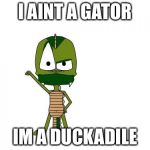 I Am Not A Gator I'm A X | I AINT A GATOR; IM A DUCKADILE | image tagged in memes,i am not a gator im a x | made w/ Imgflip meme maker