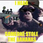 mlg monkey | I HEAR; SOMEONE STOLE THE BANANAS | image tagged in mlg monkey,mlg,memes | made w/ Imgflip meme maker