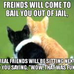 friends | FREINDS WILL COME TO BAIL YOU OUT OF JAIL, REAL FRIENDS WILL BE SITTING NEXT TO YOU SAYING, "WOW, THAT WAS FUN!" | image tagged in friends | made w/ Imgflip meme maker