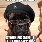 Lassie | NEW LASSIE MOVIE; STARRING SAMUEL L. JACKSON'S DOG | image tagged in lassie | made w/ Imgflip meme maker