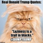 Trump is a CLOWN.... and an idiot bigot. | Real Donald Trump Quotes:; "Laziness is a trait in blacks."; #DUMPTRUMP | image tagged in trumpy cat 2,trump,dump | made w/ Imgflip meme maker