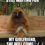Waiting Monkey | STILL WAITING FOR; MY GIRLFRIEND, SHE WILL COME... :/ | image tagged in waiting monkey,girlfriend,still waiting | made w/ Imgflip meme maker