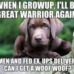 chocolate lab | WHEN I GROWUP, I'LL BE A GREAT WARRIOR AGAINST; MAILMEN AND FED EX, UPS DELIVERERS... CAN I GET A WOOF WOOF? | image tagged in chocolate lab | made w/ Imgflip meme maker