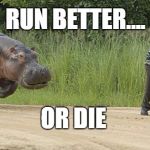 Hippo chasing man | RUN BETTER.... OR DIE | image tagged in hippo chasing man | made w/ Imgflip meme maker