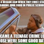Today was a good day | OVER A DECADE AGO WHEN THEY FIRST STARTED BANNING JUNK FOOD IN PUBLIC SCHOOLS; I BECAME A TEENAGE CRIME LORD. THOSE WERE SOME GOOD DAYS! | image tagged in today was a good day | made w/ Imgflip meme maker