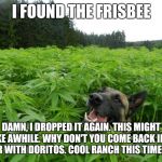 weed policedog | I FOUND THE FRISBEE; DAMN, I DROPPED IT AGAIN. THIS MIGHT TAKE AWHILE. WHY DON'T YOU COME BACK IN AN HOUR WITH DORITOS. COOL RANCH THIS TIME, BRO. | image tagged in weed policedog | made w/ Imgflip meme maker