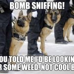 AND YOU THOUGHT YOUR JOB WAS HARD | BOMB SNIFFING! YOU TOLD ME I'D BE LOOKING FOR SOME WEED. NOT COOL BRO. | image tagged in police dogs,war on drugs,cop with drugs,scared dog,funny meme,funny dogs | made w/ Imgflip meme maker