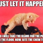 Free Massage | JUST LET IT HAPPEN, AND I WILL TAKE THE BLAME FOR THE POOP ON THE FLOOR. NOW, BITE THE CHEW TOY. | image tagged in free massage | made w/ Imgflip meme maker