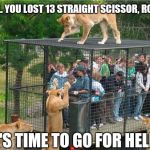 Well somebodys gotta go for help | C'MON CARL. YOU LOST 13 STRAIGHT SCISSOR, ROCK, PAPERS; IT'S TIME TO GO FOR HELP. | image tagged in memes,funny,lion | made w/ Imgflip meme maker