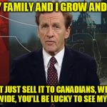 When I | WHEN MY FAMILY AND I GROW AND SELL POT; WE DON'T JUST SELL IT TO CANADIANS, WE EXPORT IT WORLD WIDE, YOU'LL BE LUCKY TO SEE MY "B" GRADE. | image tagged in family business,alan rock,political,captain obvious | made w/ Imgflip meme maker