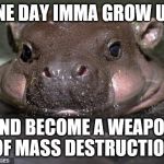 Baby Hippo | ONE DAY IMMA GROW UP, AND BECOME A WEAPON OF MASS DESTRUCTION | image tagged in baby hippo | made w/ Imgflip meme maker