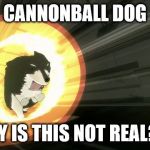 rwby | CANNONBALL DOG; WHY IS THIS NOT REAL?!?! | image tagged in rwby | made w/ Imgflip meme maker
