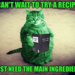 RayCat hungry | CAN'T WAIT TO TRY A RECIPE; JUST NEED THE MAIN INGREDIENT | image tagged in best raycat meme eva,memes | made w/ Imgflip meme maker