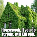 Housework, if you do it right, will kill you.  | Housework, if you do it right, will Kill you. | image tagged in housework if you do it right will kill you.  | made w/ Imgflip meme maker