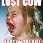 Crying Baby | LOST COW; RIGHT ON THE BELL | image tagged in crying baby | made w/ Imgflip meme maker