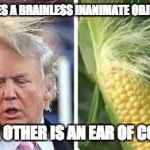 Who Wore It Better | ONES A BRAINLESS INANIMATE OBJECT; THE OTHER IS AN EAR OF CORN | image tagged in who wore it better,donald trump,trump,donald trumph hair | made w/ Imgflip meme maker